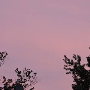 免费无码人婬片AAAA公交车
